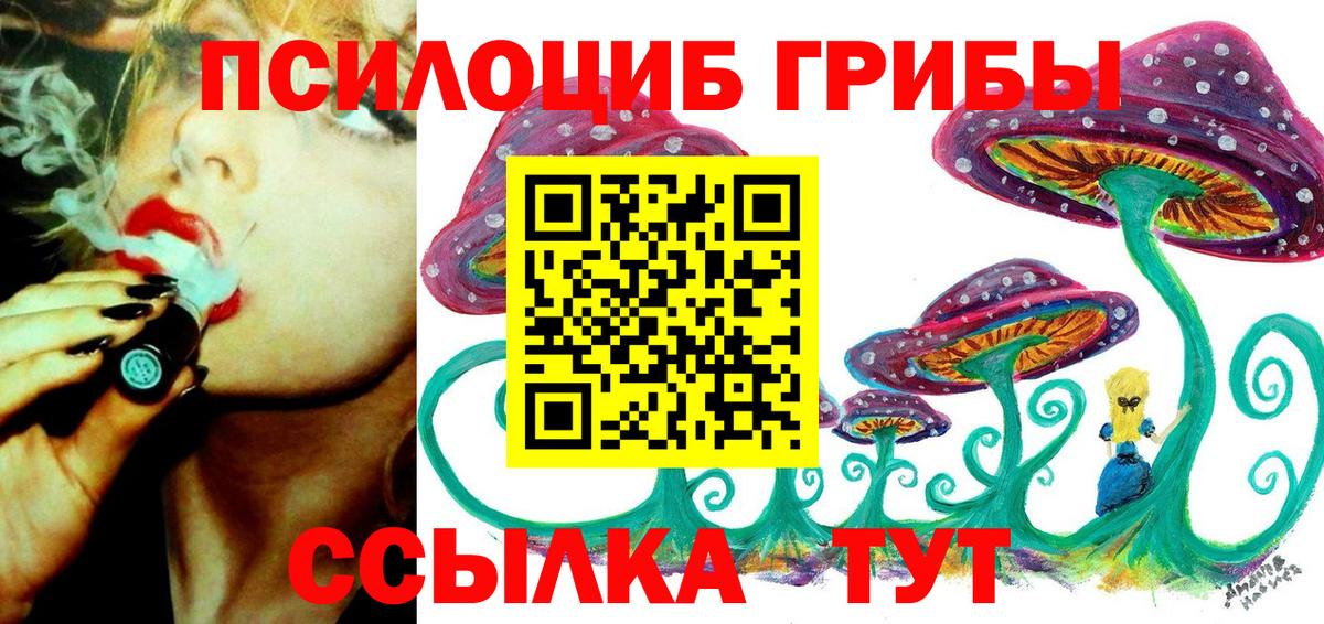 Лабинск  Псилоцибиновые грибы GOLDEN TEACHER  Галлюциногенные грибы MAGIC MUSHROOMS  Вход с VPN 